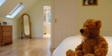 Teddy bear in loft conversion